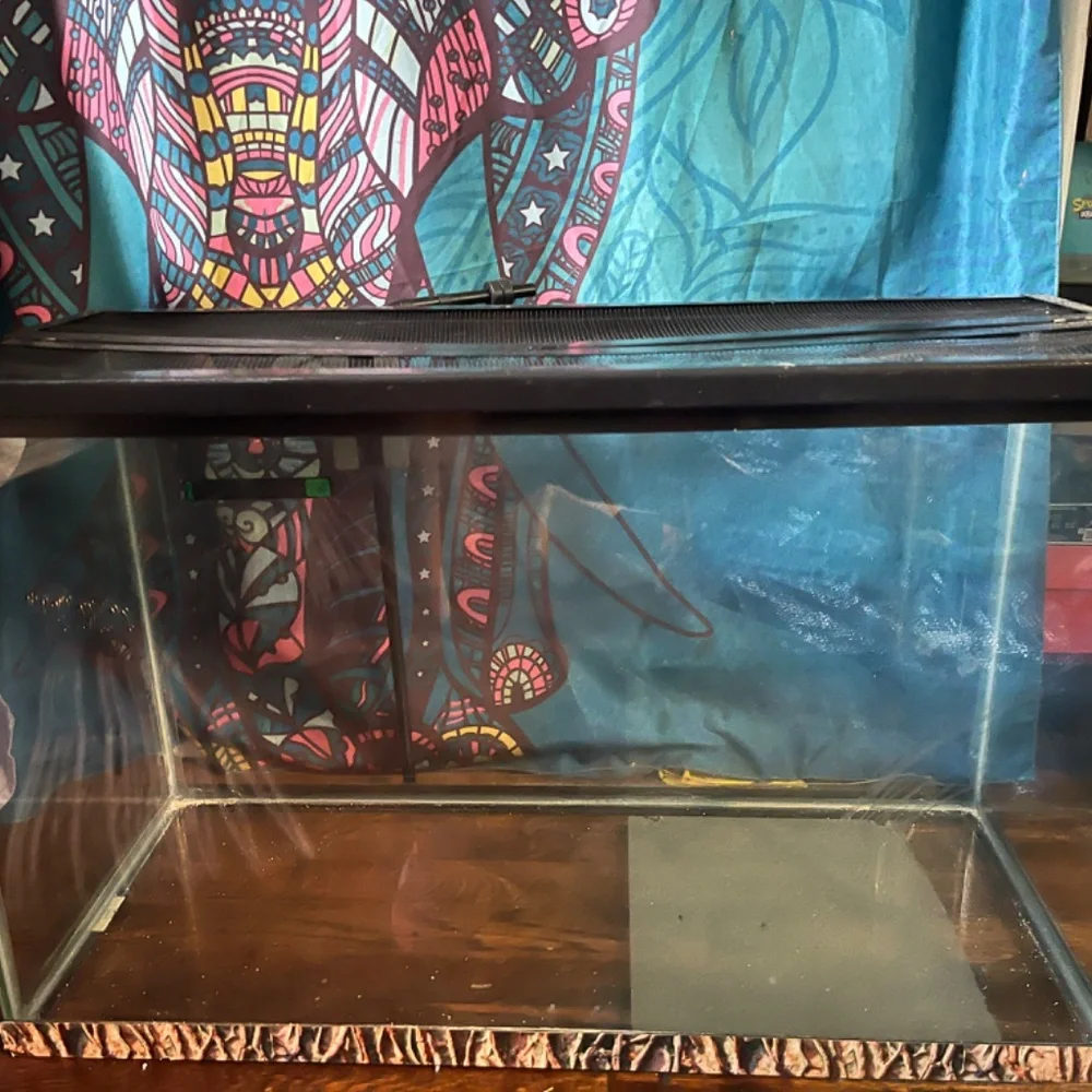 Reptile Tank